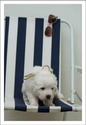 Capture One Session0383_1